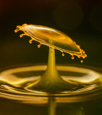 몰입형 모험 시작